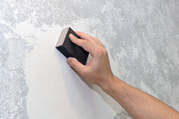 Best Commercial Mold Inspection  in South Taft, CA