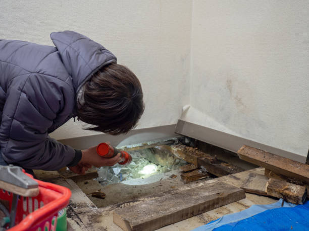 Dehumidification Services in South Taft, CA