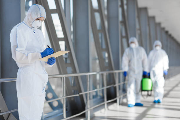 Best Water Damage & Mold Remediation  in South Taft, CA